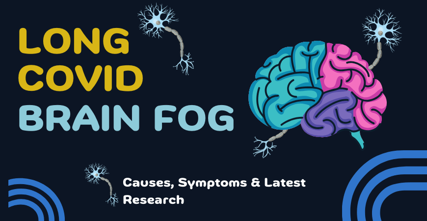 Long COVID Brain Fog: Causes, Symptoms and Latest Research long covid brain fog