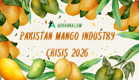 pakistan mango industry
