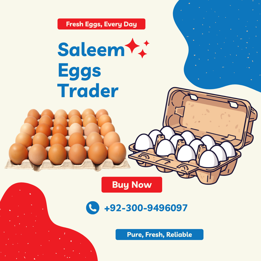 Saleem Eggs Trader – Eggs Supplier in Lahore